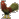 תרנגול