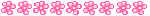 rogt6